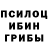 Псилоцибиновые грибы Cubensis Carl Savo