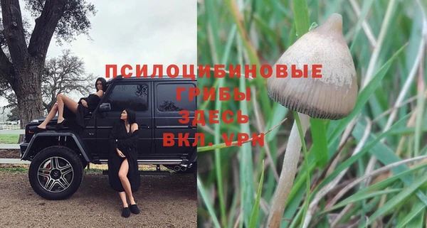 дурь Балабаново