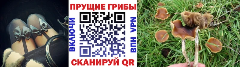 Псилоцибиновые грибы Magic Shrooms  Купить закладки  Георгиевск 